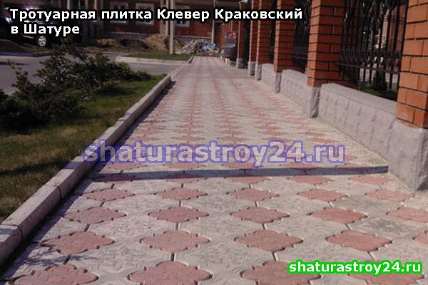 Клевер Краковский в городских условиях: укладка тротуаров