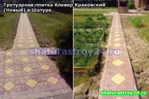 Клевер Краковский (Новый) для мощения пешеходной дорожки на даче  (Шатурский район, Московская область)